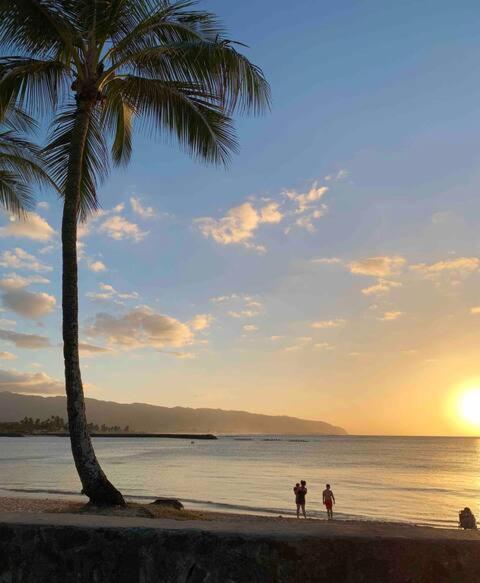 North Shore Garden * Haleiwa